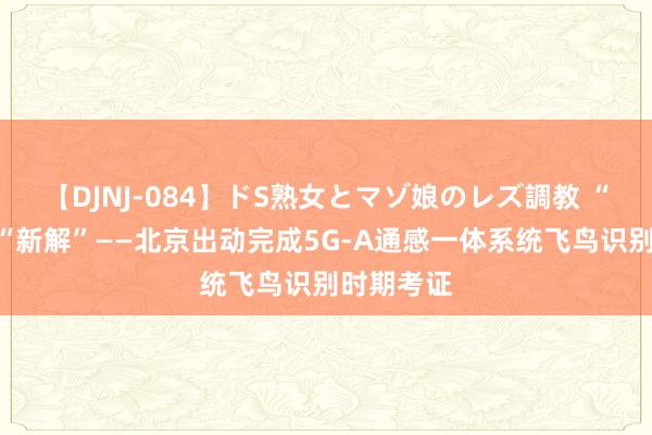 【DJNJ-084】ドS熟女とマゾ娘のレズ調教 “鸟击”有“新解”——北京出动完成5G-A通感一体系统飞鸟识别时期考证