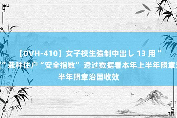 【DVH-410】女子校生強制中出し 13 用“打击力度”栽种住户“安全指数” 透过数据看本年上半年照章治国收效