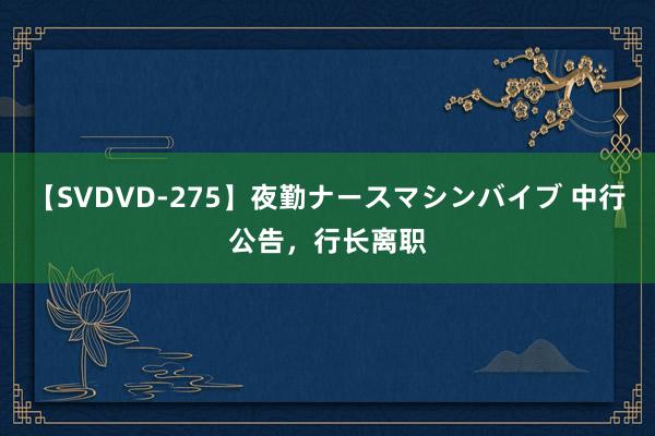 【SVDVD-275】夜勤ナースマシンバイブ 中行公告，行长离职