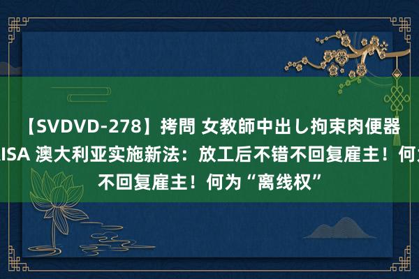 【SVDVD-278】拷問 女教師中出し拘束肉便器 仁科百華 RISA 澳大利亚实施新法：放工后不错不回复雇主！何为“离线权”