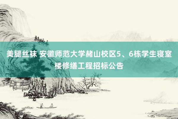 美腿丝袜 安徽师范大学赭山校区5、6栋学生寝室楼修缮工程招标公告